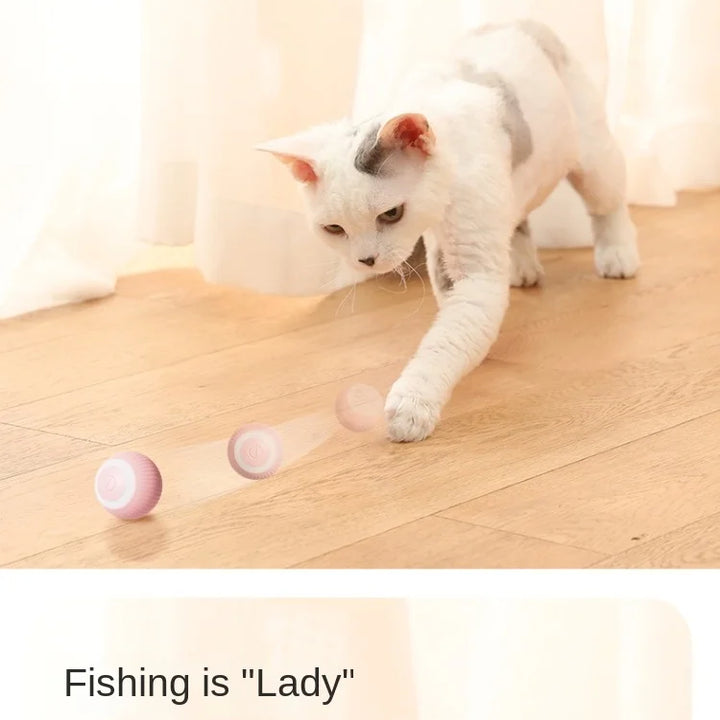 Automatic Rolling Magic Cat Ball Toy