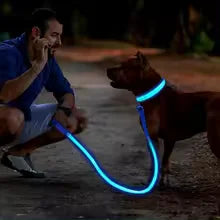 LED Glowing Dog Collar