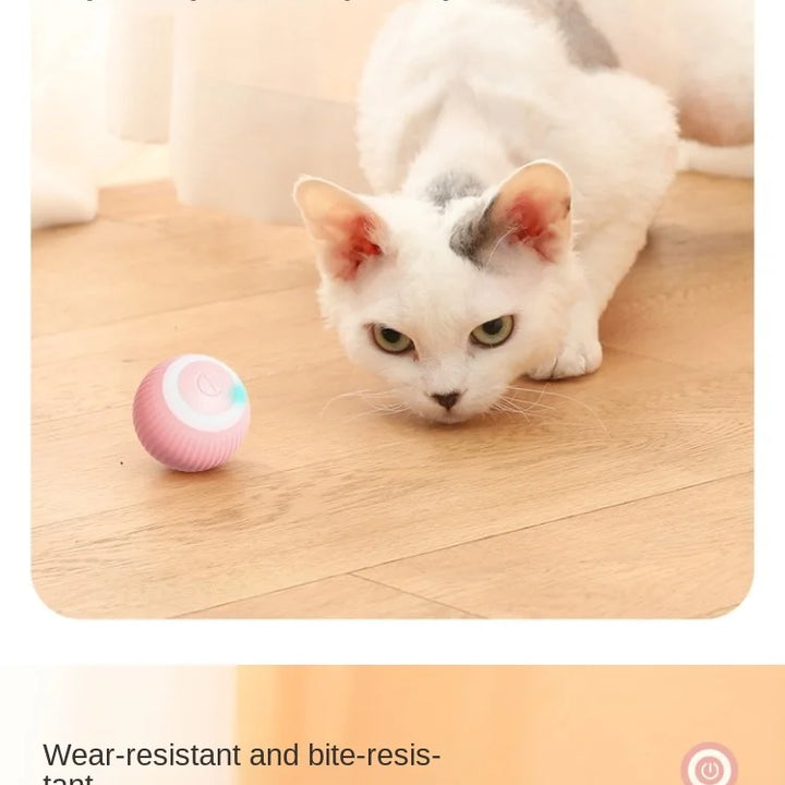 Automatic Rolling Magic Cat Ball Toy