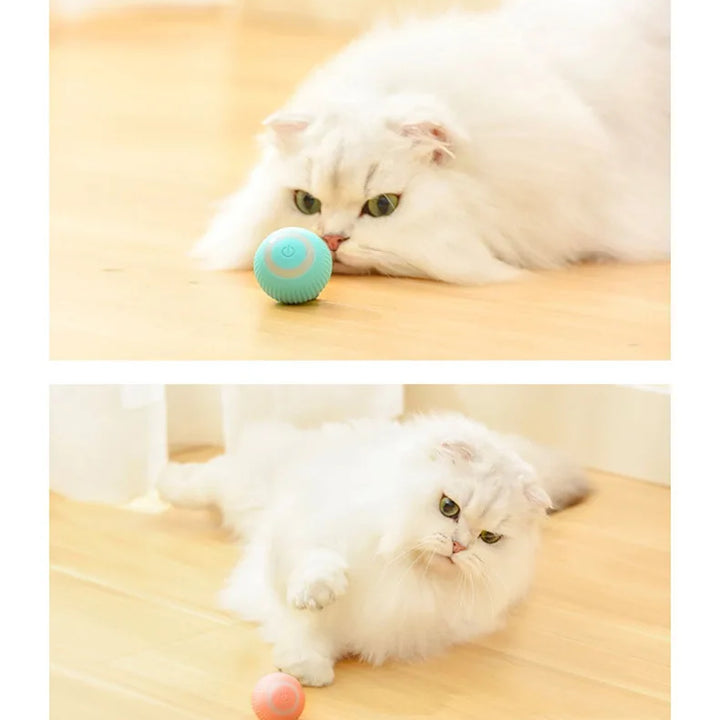 Automatic Rolling Magic Cat Ball Toy