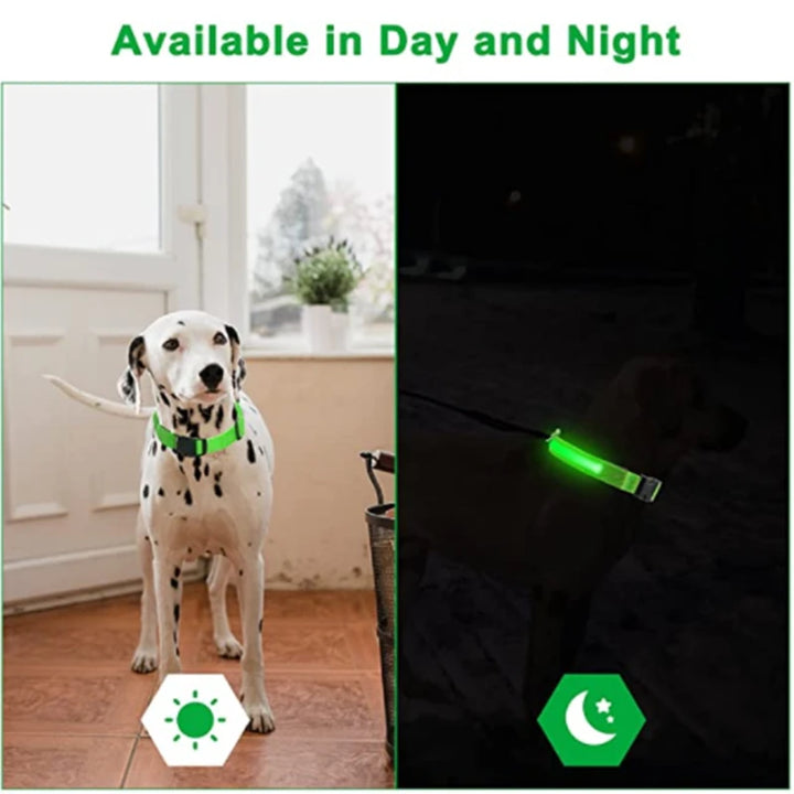 LED Glowing Dog Collar