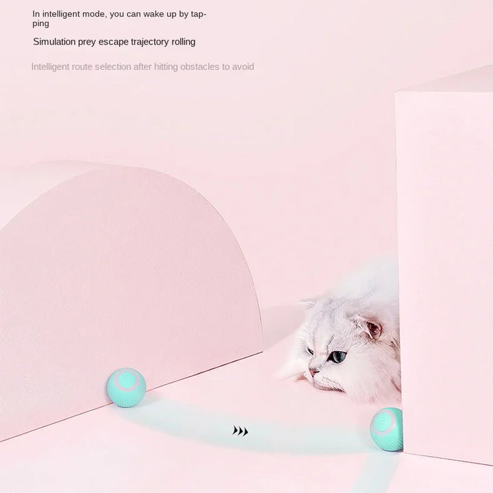 Automatic Rolling Magic Cat Ball Toy