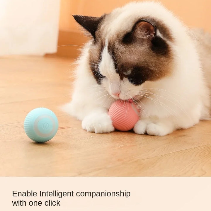 Automatic Rolling Magic Cat Ball Toy