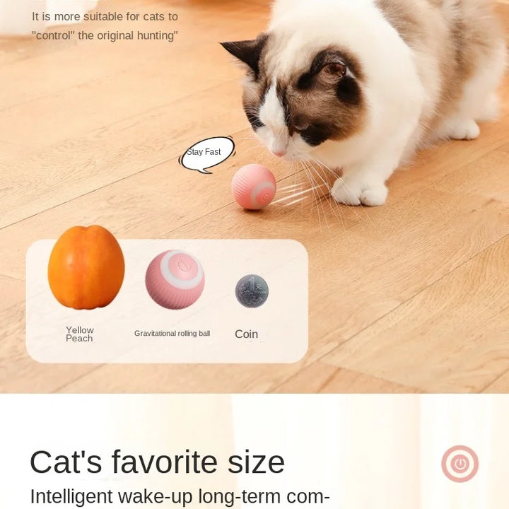 Automatic Rolling Magic Cat Ball Toy